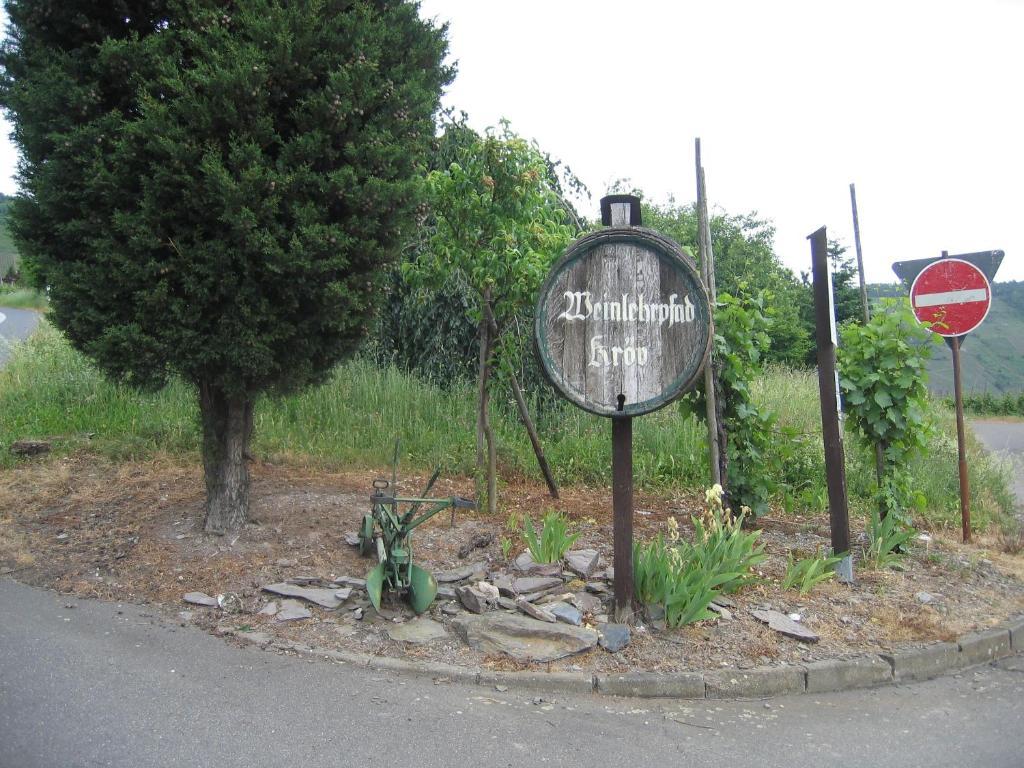 Hotel Weinfelderhof Kröv Zewnętrze zdjęcie