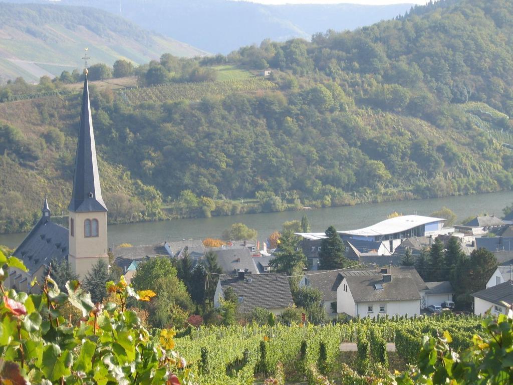 Hotel Weinfelderhof Kröv Zewnętrze zdjęcie